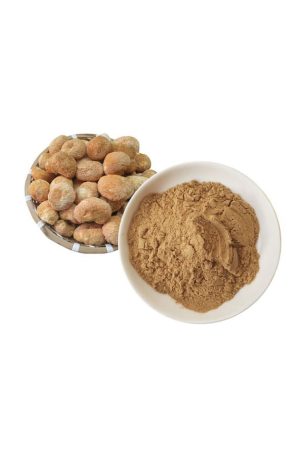 Lions Mane Dual extract Powder 10:1 - 1kg