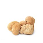 Lions Mane - Dried/Whole 1kg