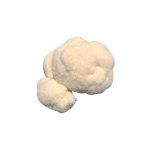 Fresh Lions Mane 1kg (Local Pickup Only)