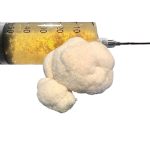 Lion's Mane Liquid Culture 10ml (Lions Pride)