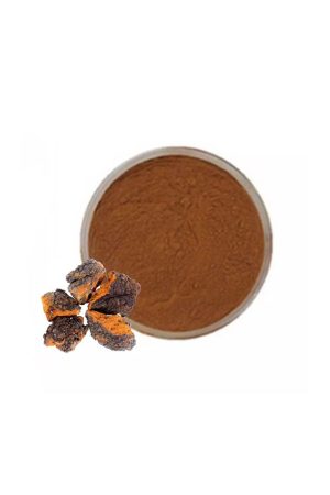 Chaga Mushroom Extract 10:1 - 1kg pack