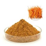 Cordyceps Dual extract Powder 10:1 – 1kg