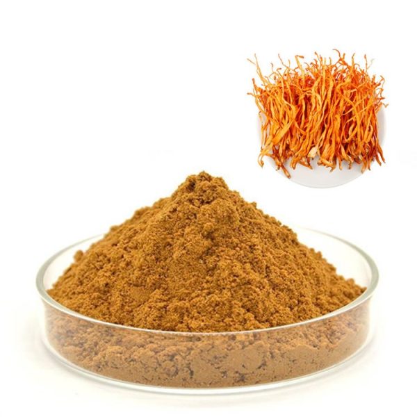 Cordyceps Dual extract Powder 10:1 – 1kg