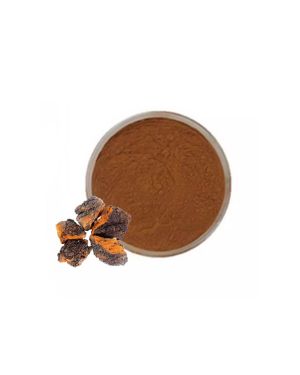 Chaga Mushroom Dual Extract Powder 10:1