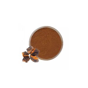 Chaga Mushroom Dual Extract Powder 10:1