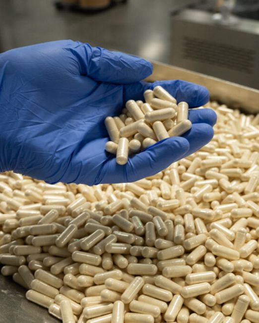 Mushroom Capsules