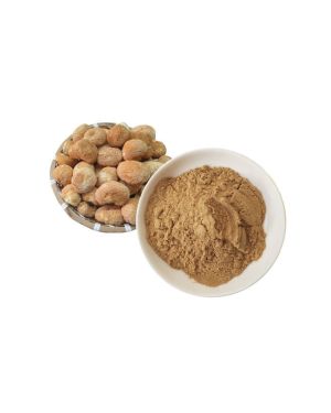 Lions Mane Dual extract Powder 10:1