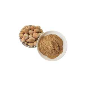 Lions Mane Dual extract Powder 10:1