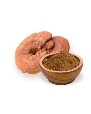 Reishi Mushroom Dual Extract Powder 10:1