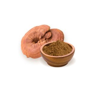 Reishi Mushroom Dual Extract Powder 10:1