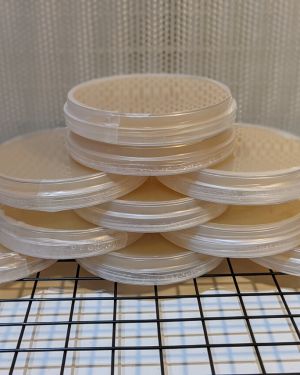 Pre-poured Blank AGAR plate (MEA) 90mm – 10pack