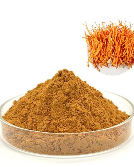 Mushroom Extract Powders