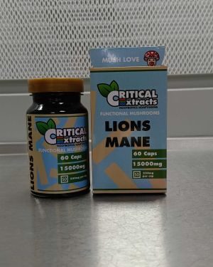 Lion’s Mane Extract Capsules – 60 Capsules (250 mg Per Capsule)