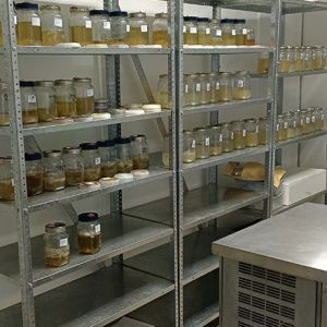 lab2