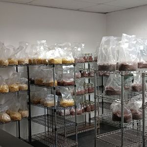 lab3