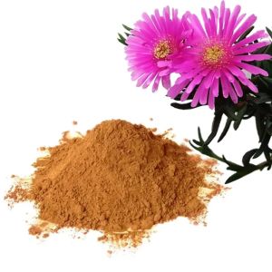 Sceletiumn Powder