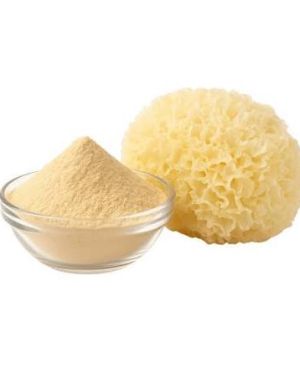 Tremella Dual Extract Powder 10:1