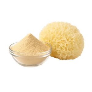 Tremella Dual Extract Powder 10:1